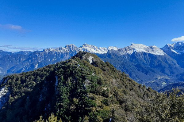 Monte Cuzzer, la finestra nascosta sulle Alpi Giulie